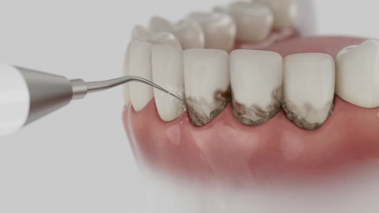 Reliable Dental contractor in Louisiana, LA by Dentist Open Now